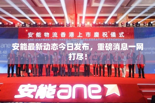 关于我们 第12页