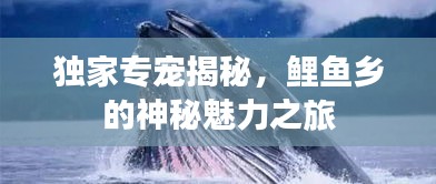 在线留言 第10页