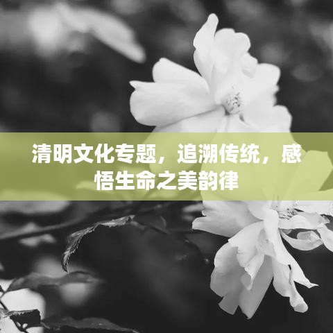 关于我们 第9页