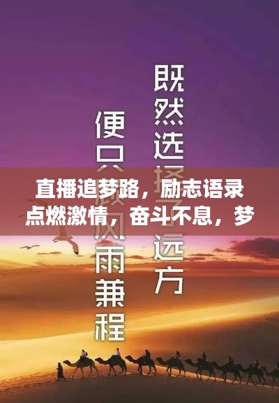 关于我们 第8页