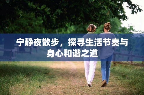 新闻中心 第5页