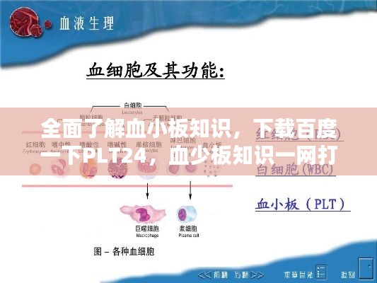 关于我们 第5页