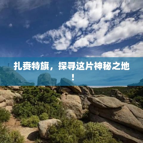 踊贵屦贱