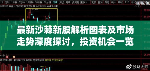 最新沙棘新股解析图表及市场走势深度探讨，投资机会一览