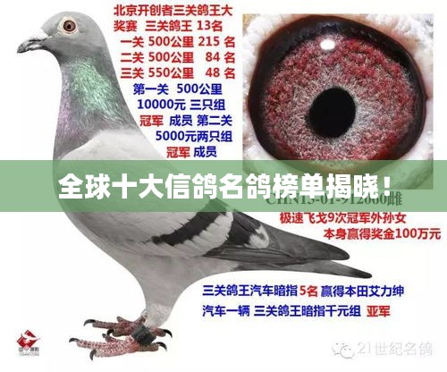 就地取材