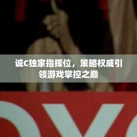 文质彬彬