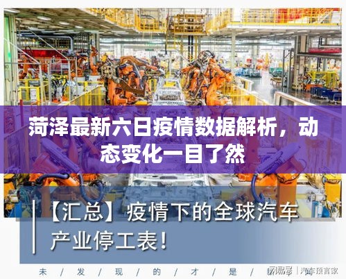 营销网络